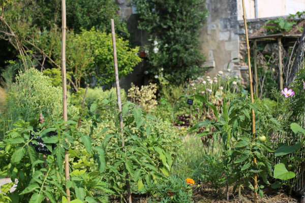 Jardin sauvage de La Moulinette © Nicolas Macaire / LPO